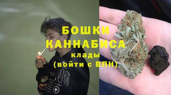 мдпв Волосово