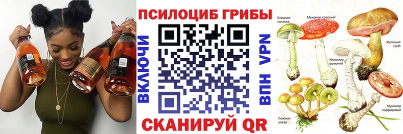 Псилоцибиновые грибы Cubensis  Починок 